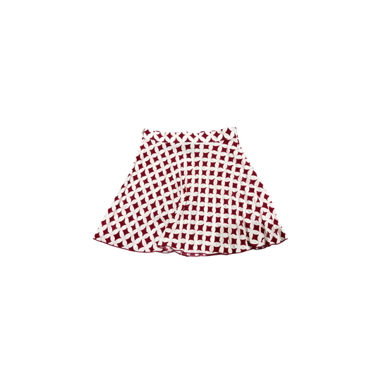Z Skirt 0029