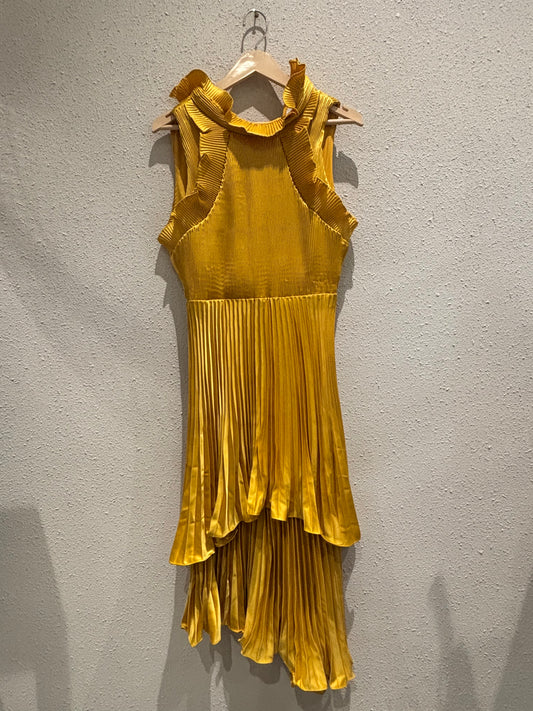 RK Dress 0030