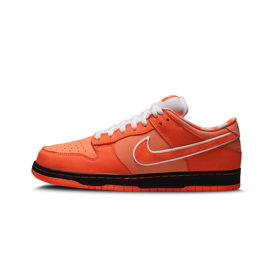 Concepts x Dunk Low SB &